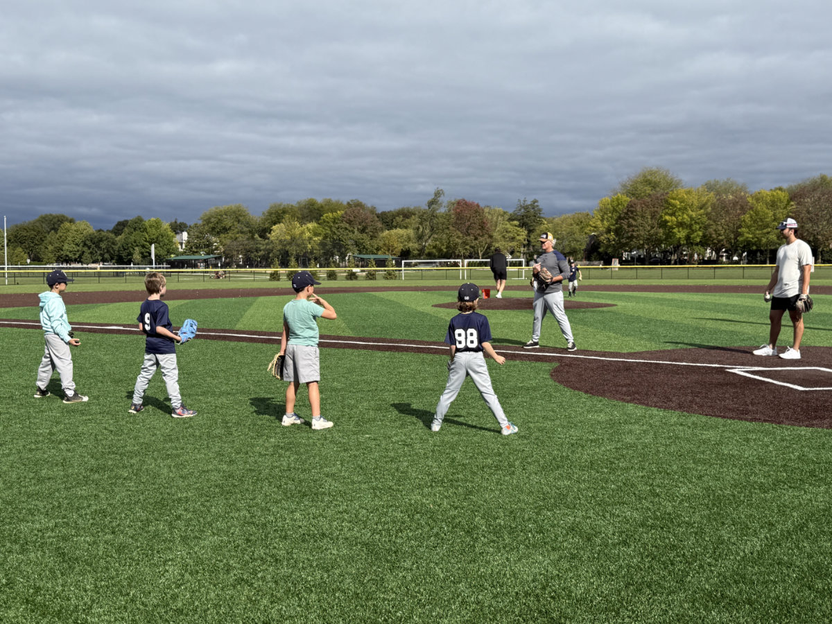 baseball training clinics